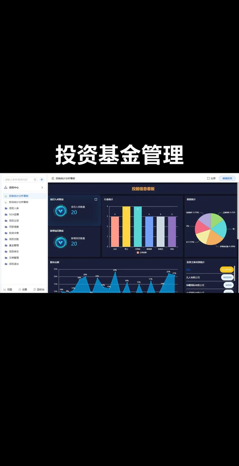 项目投资
